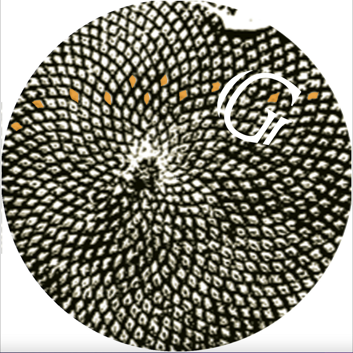 Fr!sky Buziness - Heartquencer (GRSL010)