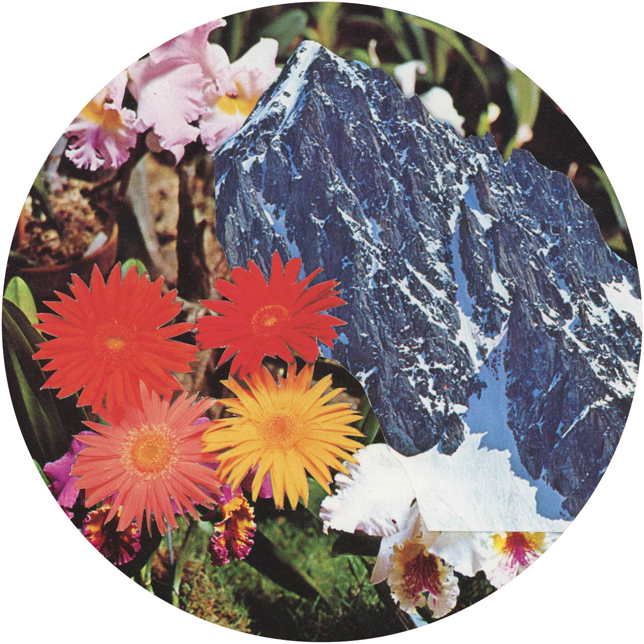 Rob Pearson & Dave Mothersole – Wanting You