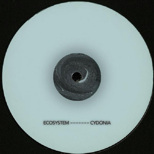 Chaotic Discord - Hidden Movement