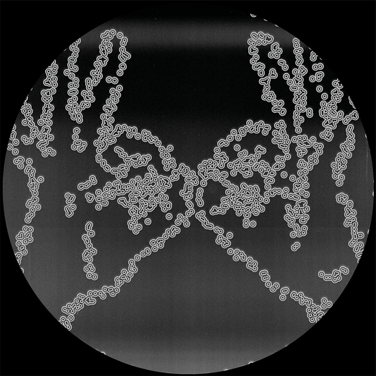 V.A - Cartulis Music 15th Anniversary Compilation / CRTL-SP01.2 - 12"