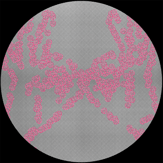 V.A - Cartulis Music 15th Anniversary Compilation / CRTL-SP01.3 - 12"