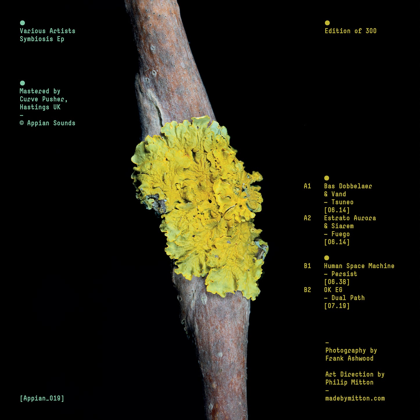 Various Artists - Symbiosis