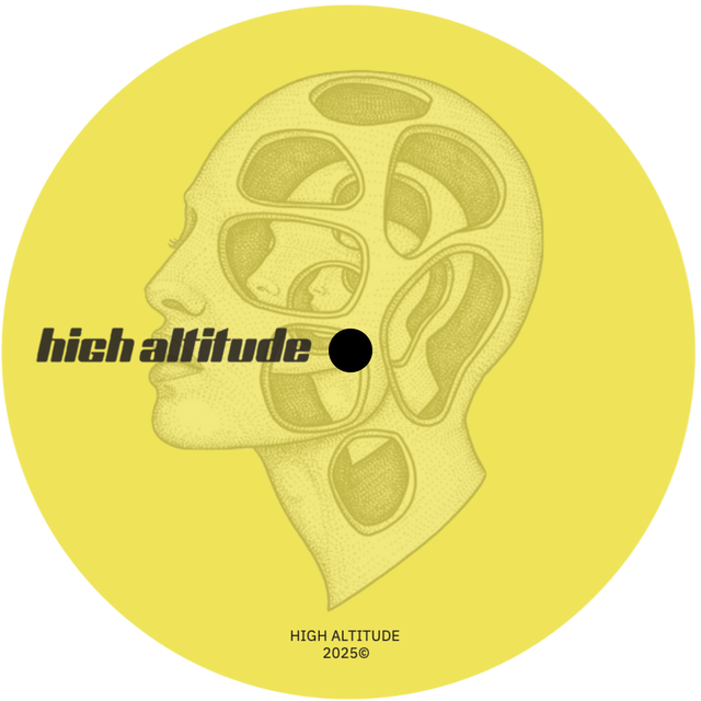 Various Artists - High Altitude 002