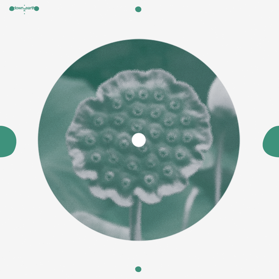 matthias – beat of blades