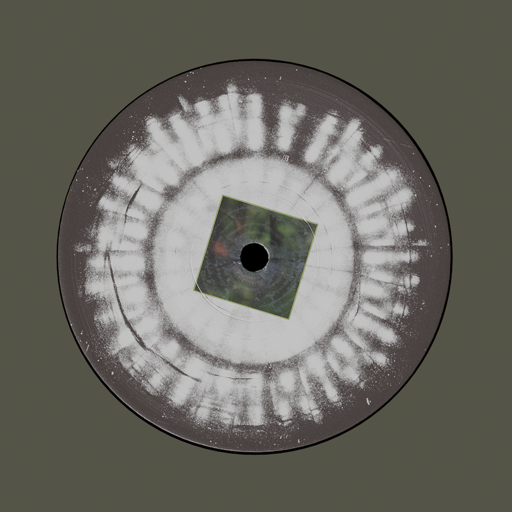 djfix, Jek - unknown species