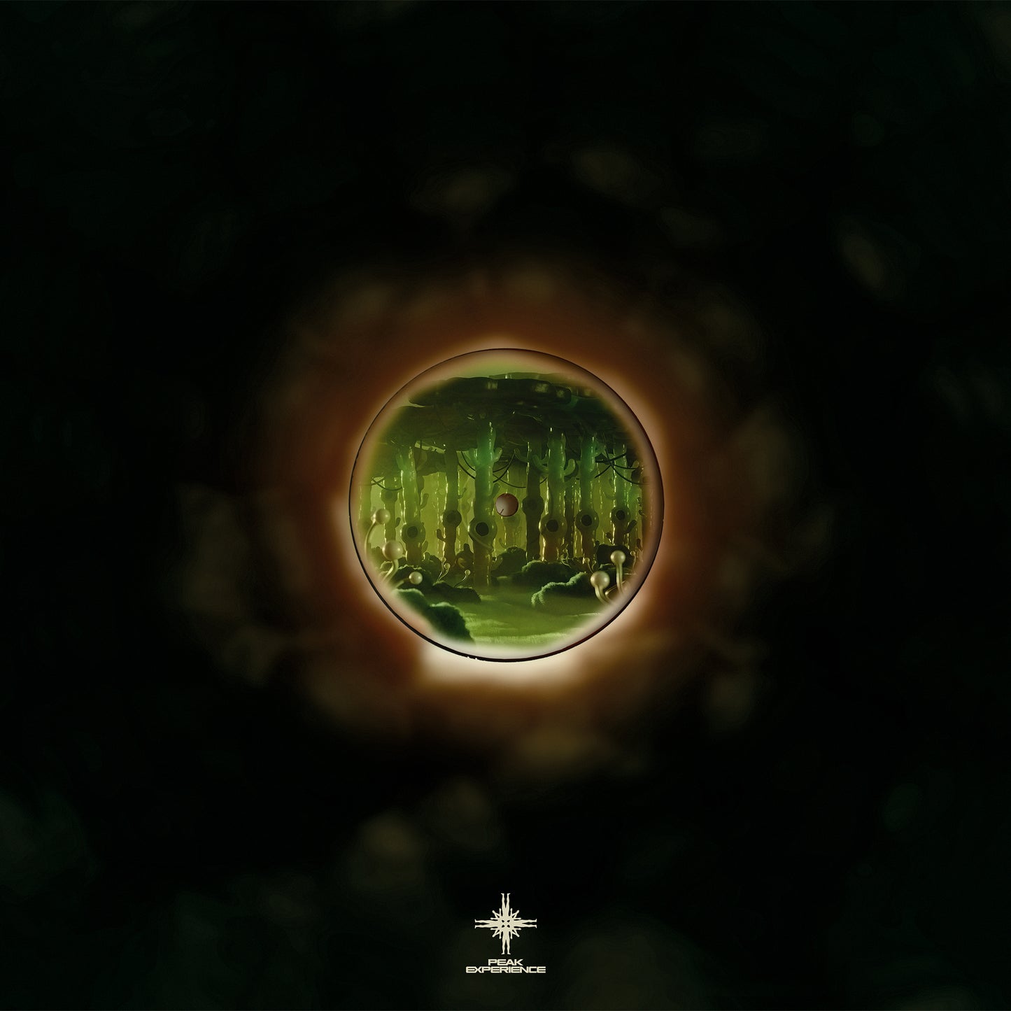 Alvar – The Mist (2×12") XP-00003