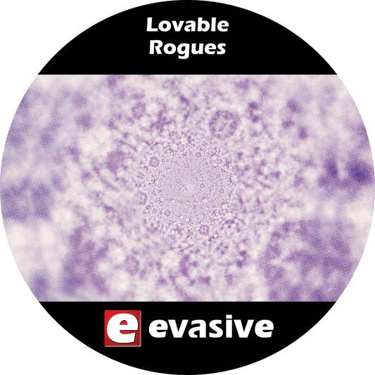Lovable Rogues - Integer