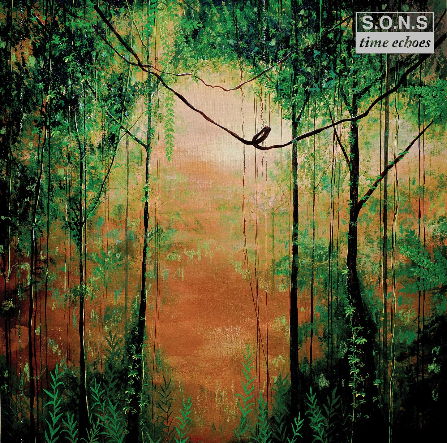 S.O.N.S - Time Echoes (SHROOM11)