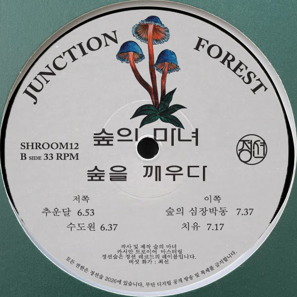 Forest Witches - Awaken The Woods [SHROOM12]