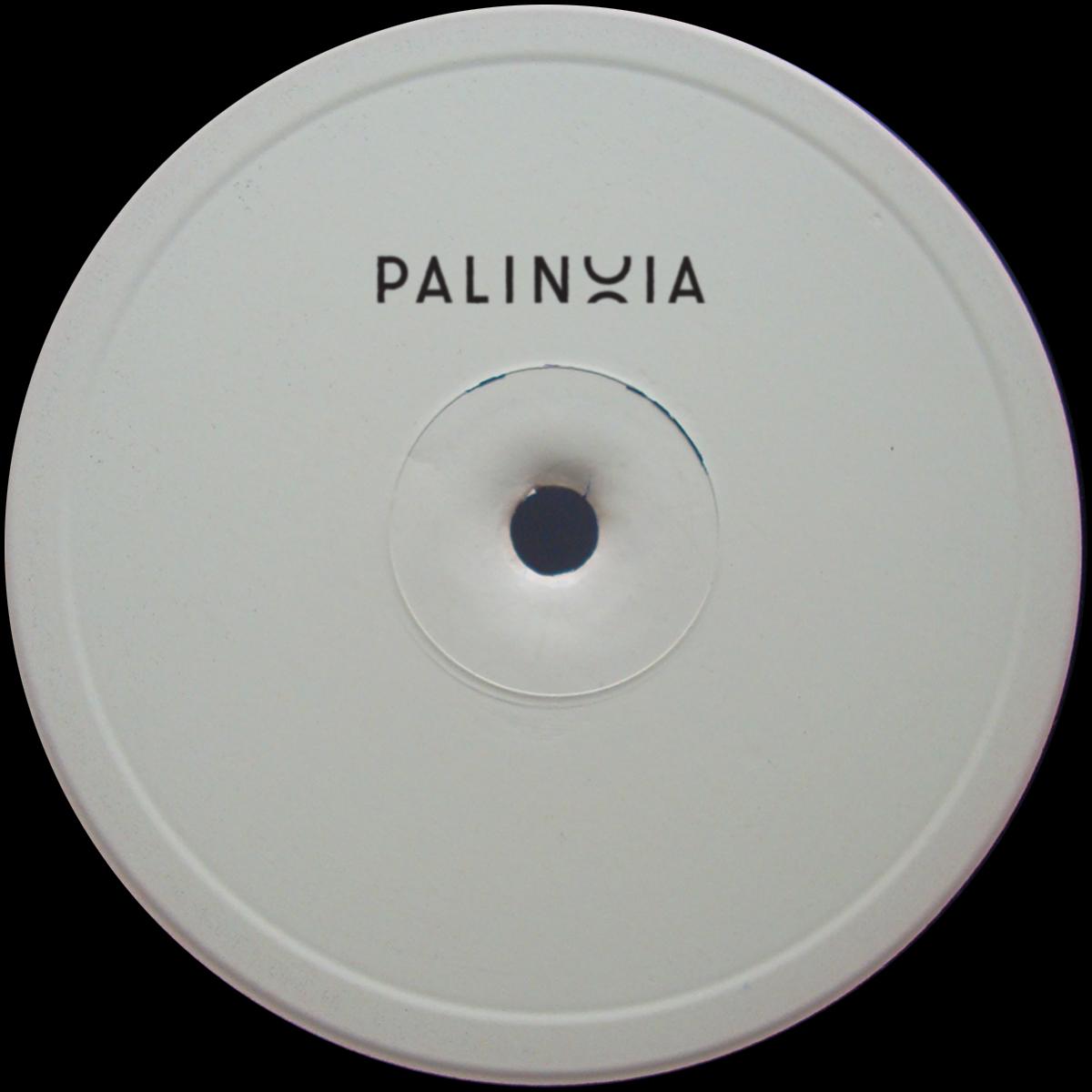 Donato Dozzy / Eric - Palinoia LTD 001
