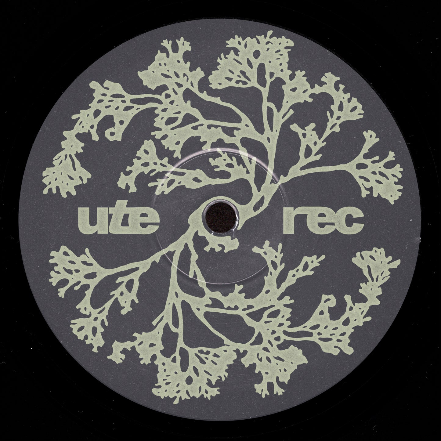 Matthias – UTE015